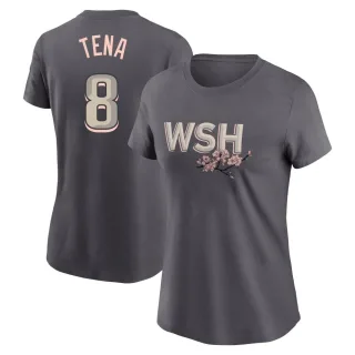 Women's Washington Nationals Jose Tena Gray 2022 City Connect T-Shirt